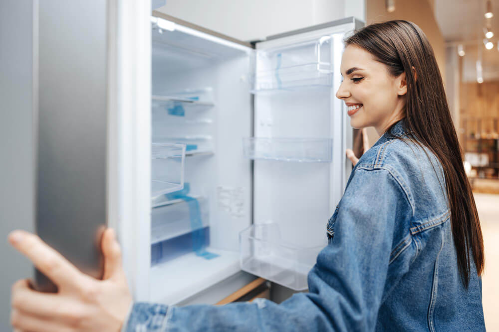 refrigerator energu consumption
